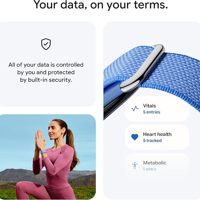 Google Fitbit Air