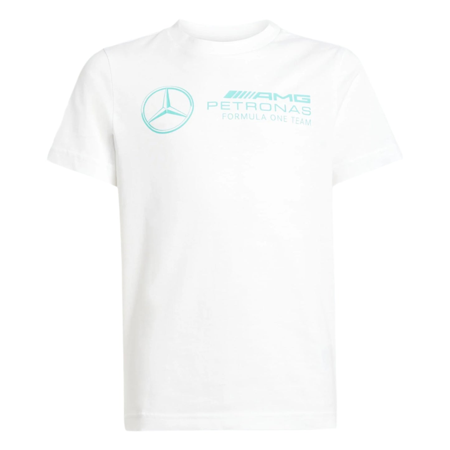 MERCEDES AMG PETRONAS FORMULA ONE TEAM DNA GRAPHIC TEE YOUTH