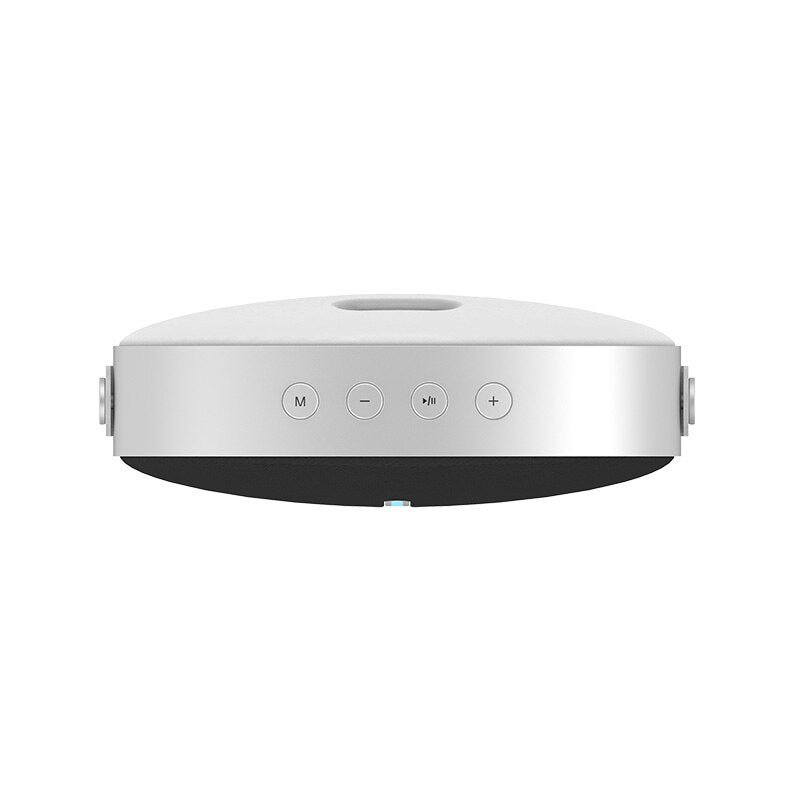 W-KING T8 30W Bluetooth Speaker
