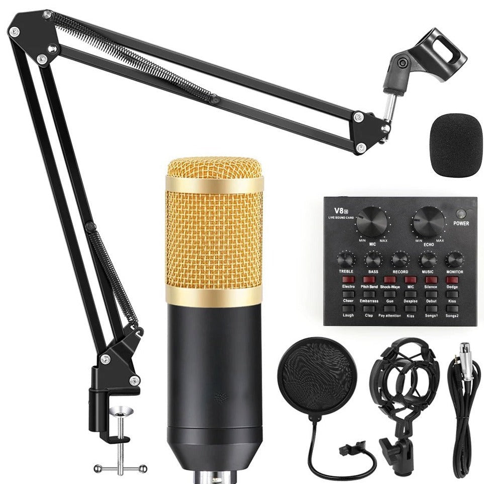 Professional Condenser Microphone V8s