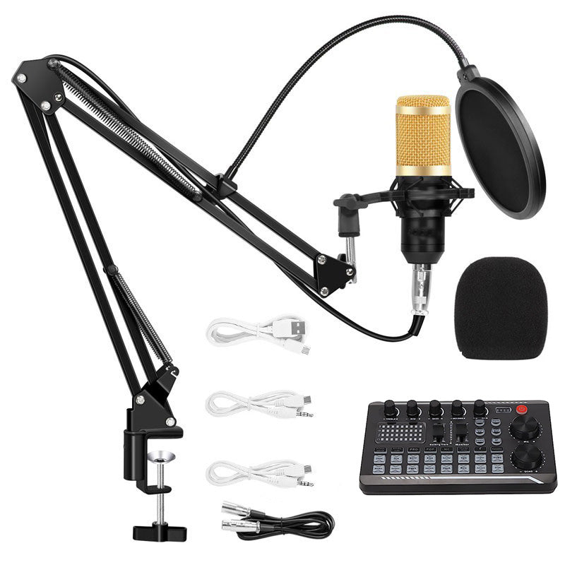 Professional Condenser Microphone V9s
