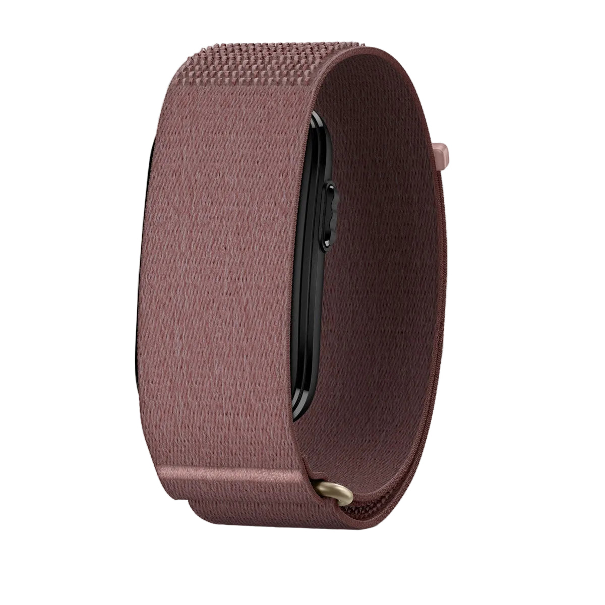 Garmin CIRQA Smart Band